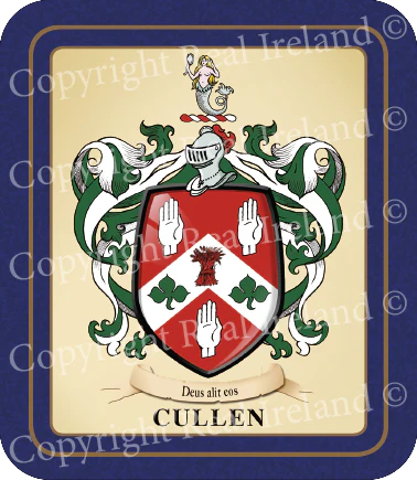 Cullen Heraldic Coasters 2 Pack