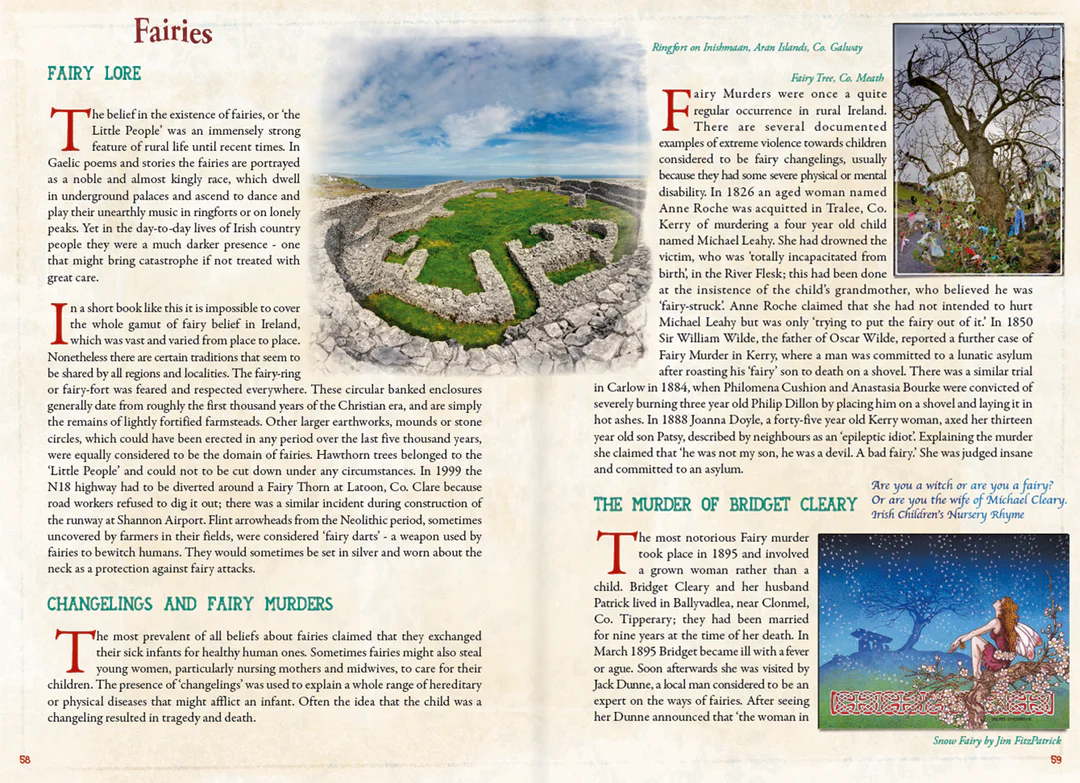 Haunted Ireland Book: Haunting Tales from an Ancient Land