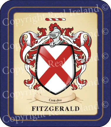 Fizgerald Heraldic Coasters 2 Pack