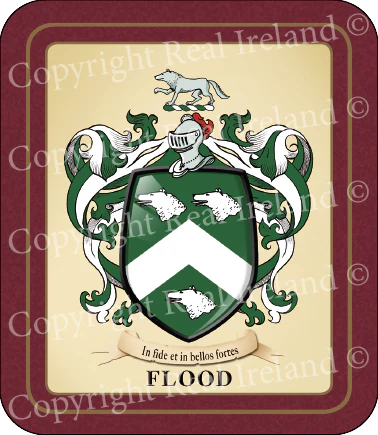Flood Heraldic Coasters 2 Pack