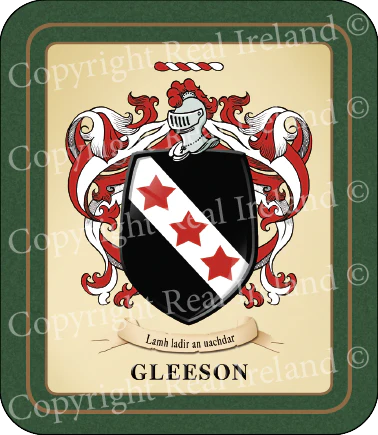 Gleeson Heraldic Coasters 2 Pack
