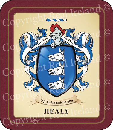 Healy Heraldic Coasters 2 Pack