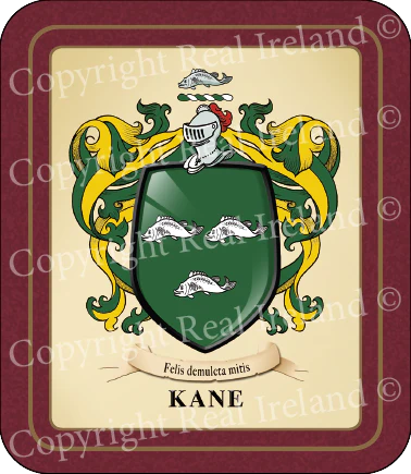 Kane Heraldic Coasters 2 Pack