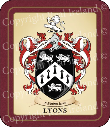 Lyons Heraldic Coasters 2 Pack