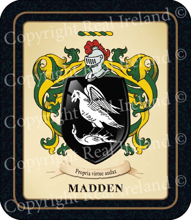 Madden Heraldic Coasters 2 Pack