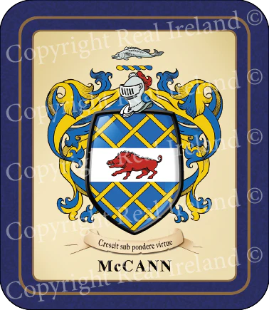McCann Heraldic Coasters 2 Pack