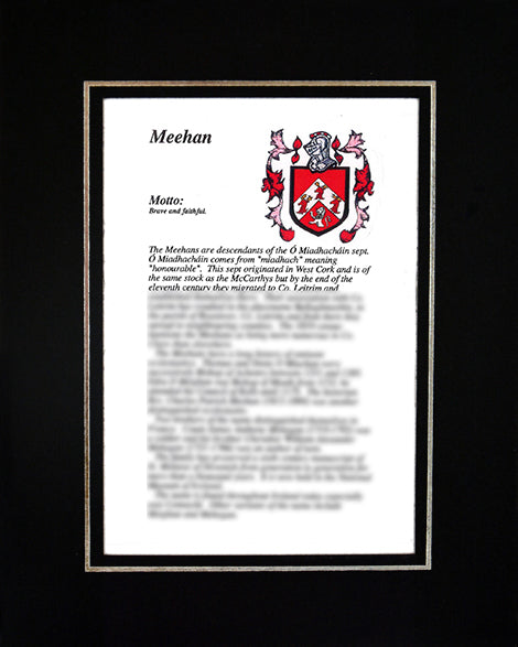 Meehan