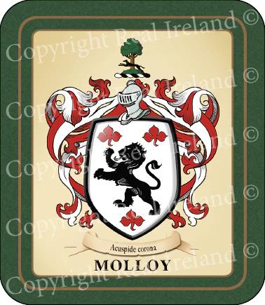 Molloy Heraldic Coasters 2 Pack