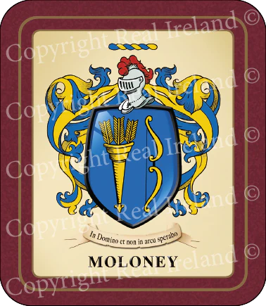 Moloney Heraldic Coasters 2 Pack