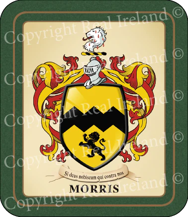 Morris Heraldic Coasters 2 Pack