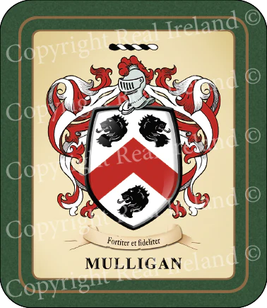 Mulligan Heraldic Coasters 2 Pack