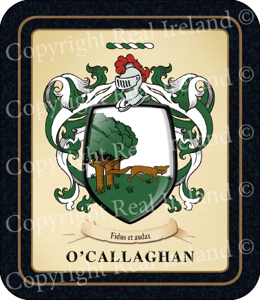O'Callaghan Heraldic Coasters 2 Pack