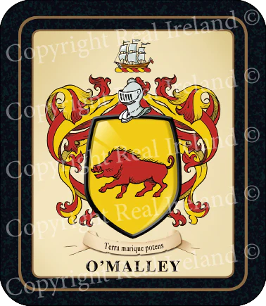 O'Malley Heraldic Coasters 2 Pack