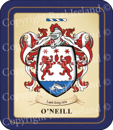 O'Neill Heraldic Coasters 2 Pack