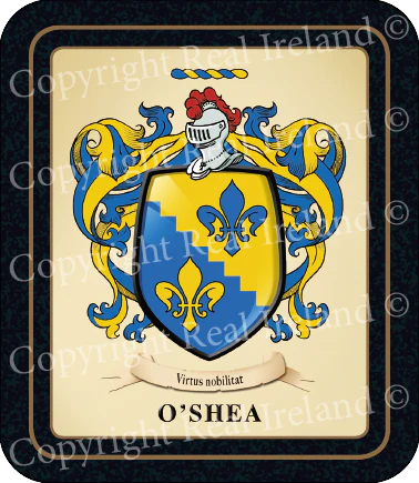 O'Shea Heraldic Coasters 2 Pack