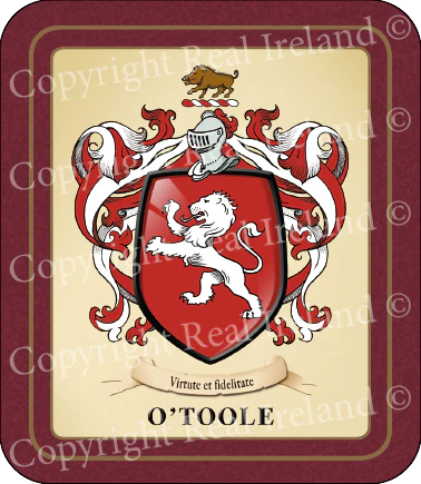 O'Toole Heraldic Coasters 2 Pack