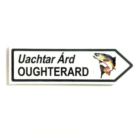 Oughterard Signpost Fridge Magnet with Fish