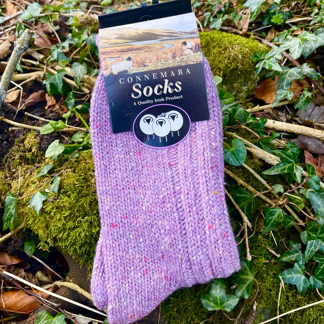 Connemara Merino Wool Purple Tweed Socks