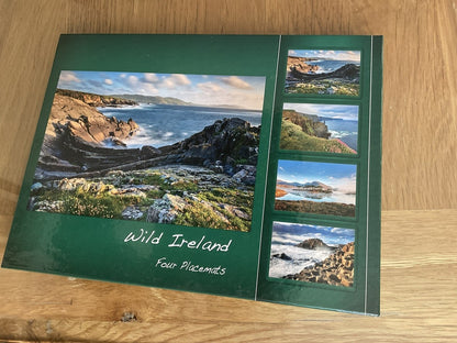 Wild Ireland 4 Heat Resistant Placemats