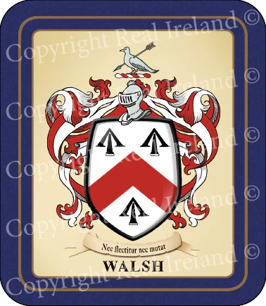Walsh Heraldic Coasters 2 Pack