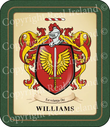 Williams Heraldic Coasters 2 Pack